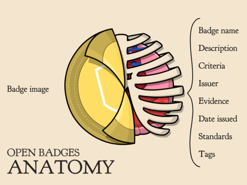 BadgeAnatomy